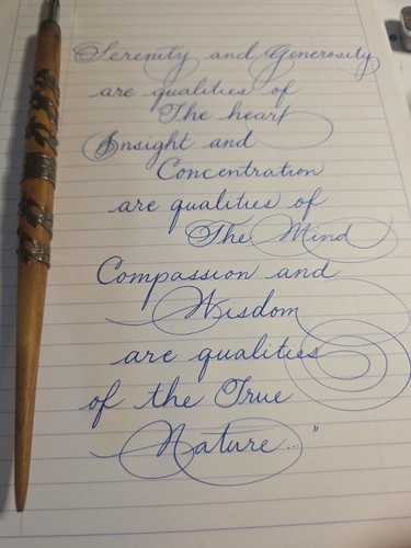 Beautiful calligraphy dip pen - beautiful,